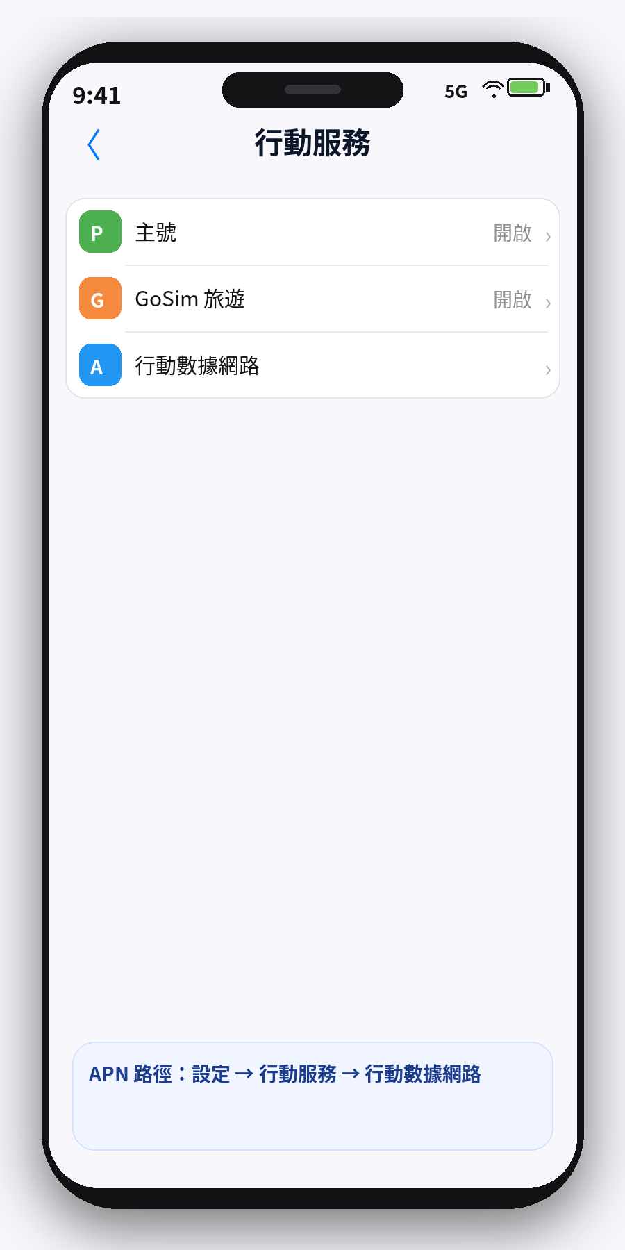 iPhone 行動服務進入行動數據網路畫面